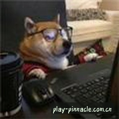 User